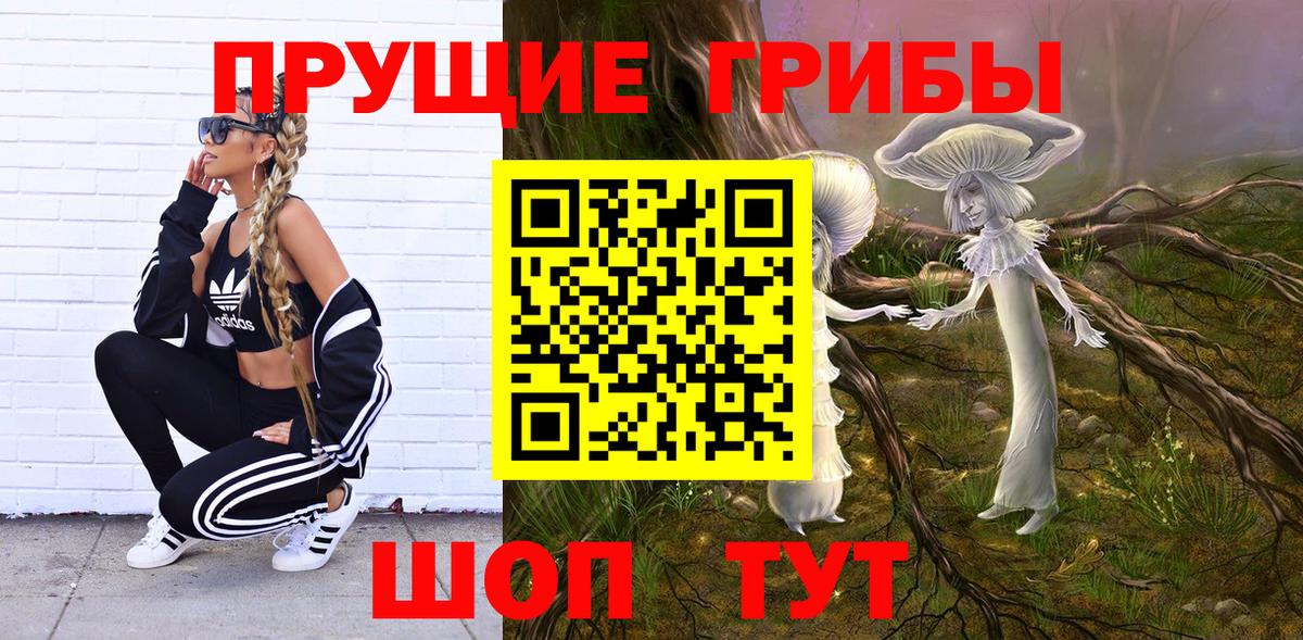 Галлюциногенные грибы Magic Shrooms  Псилоцибиновые грибы Magic Shrooms  Светлоград  Вход с VPN 