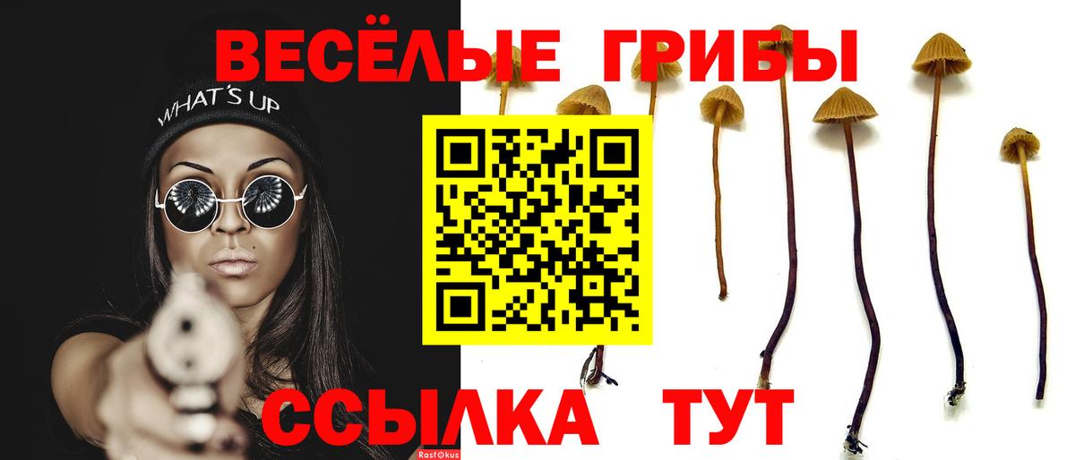 Галлюциногенные грибы ЛСД Светлоград